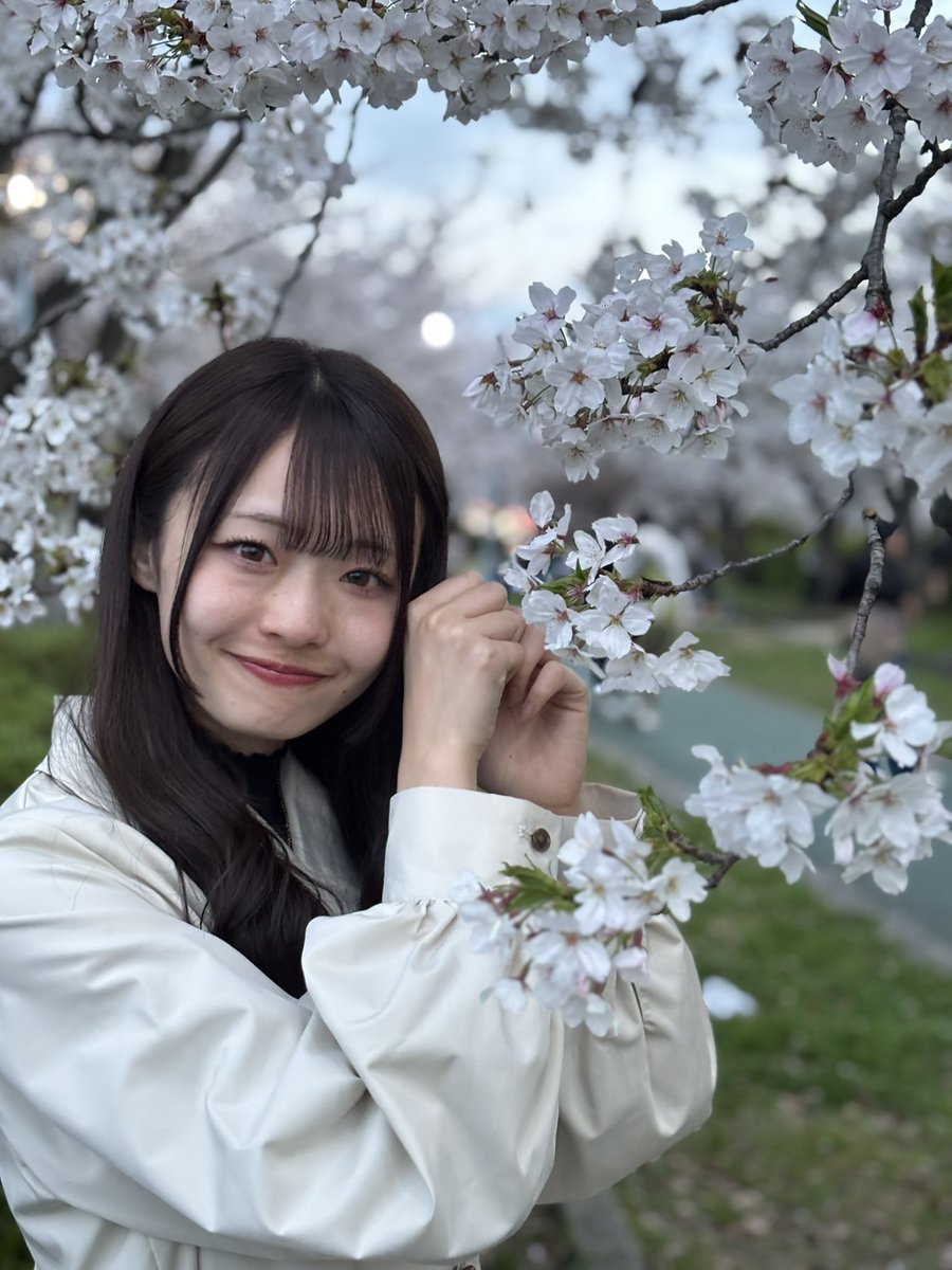 ℳ🐱🎀 tweet media