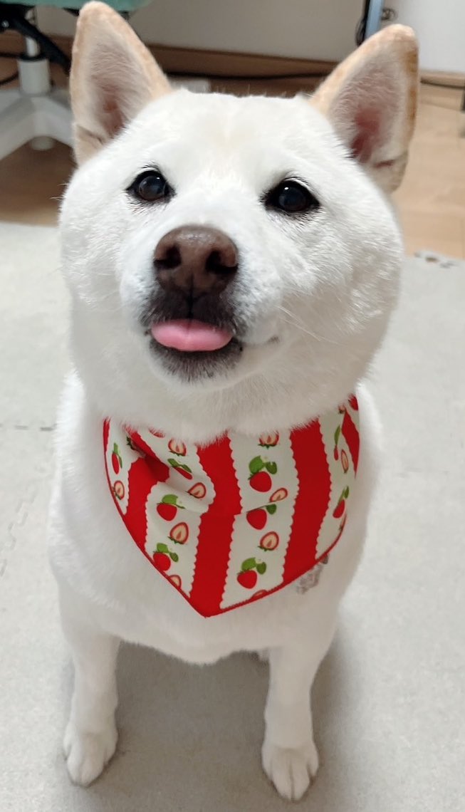 ななㅇ( ◝ ◜ ㅇ ) tweet media