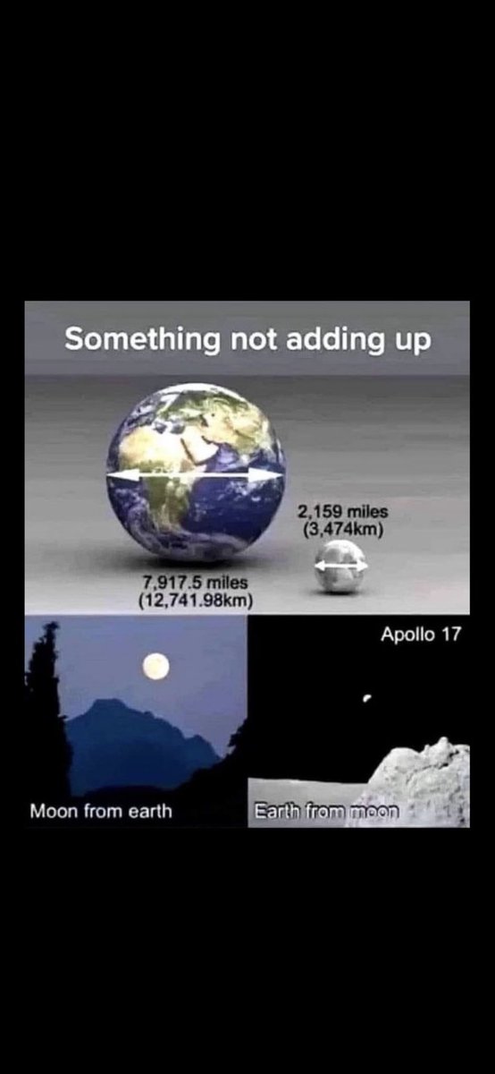 Truc Bidule tweet media