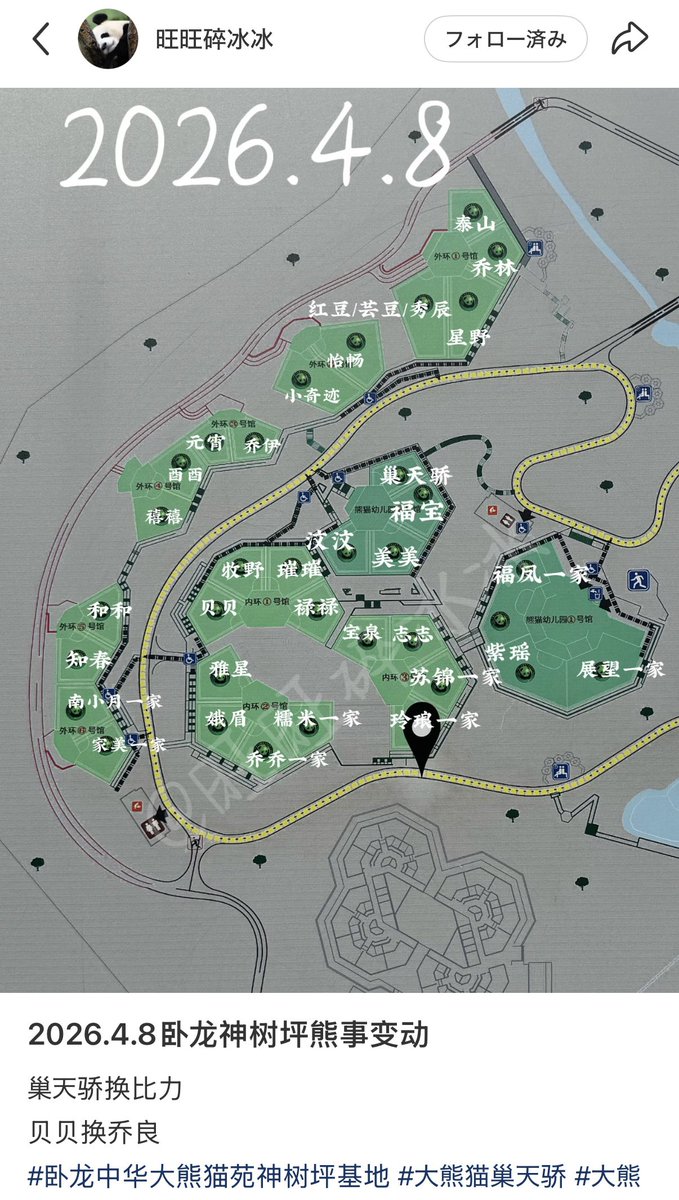 まりまり☆パンダ tweet media