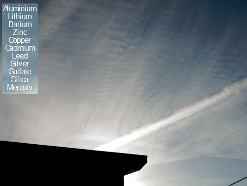 Carbon Edgard tweet media