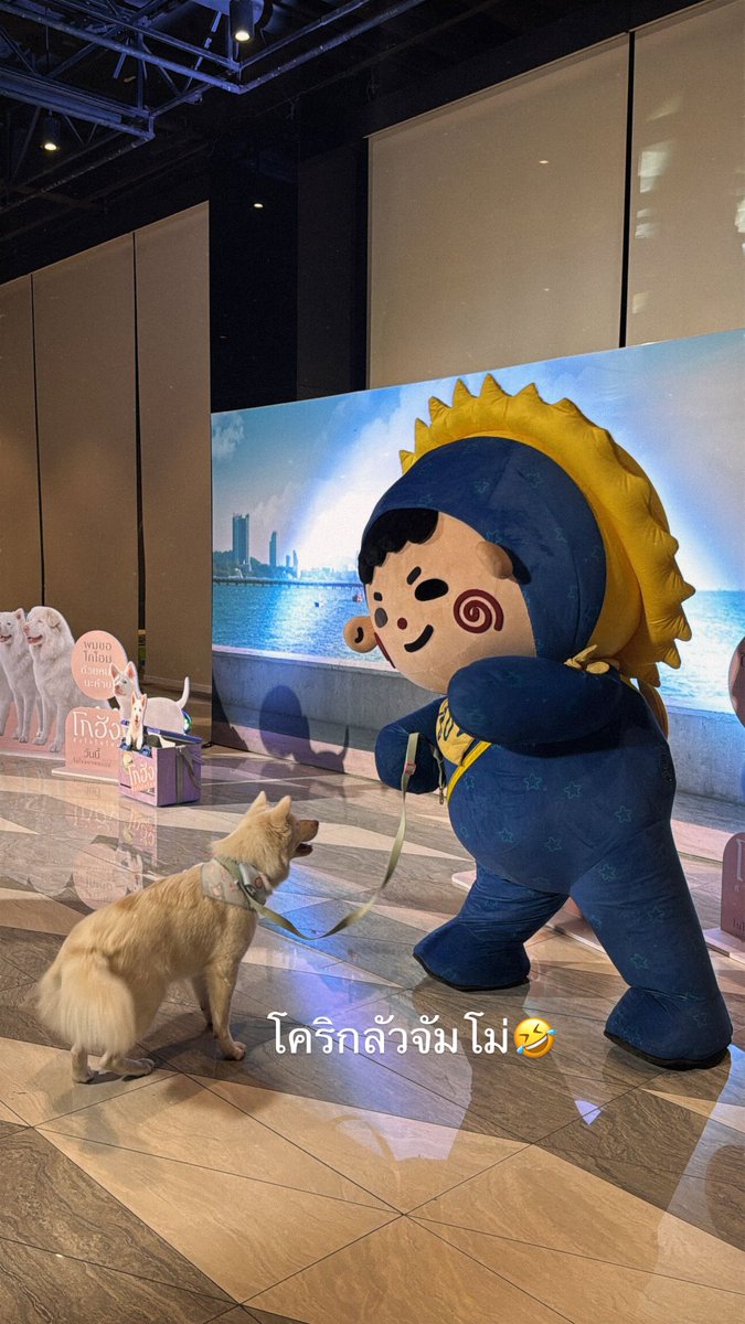 ม๋าฟ้ารักครูปริ๊นซ์૮₍ • ᴥ • ₎ა tweet media