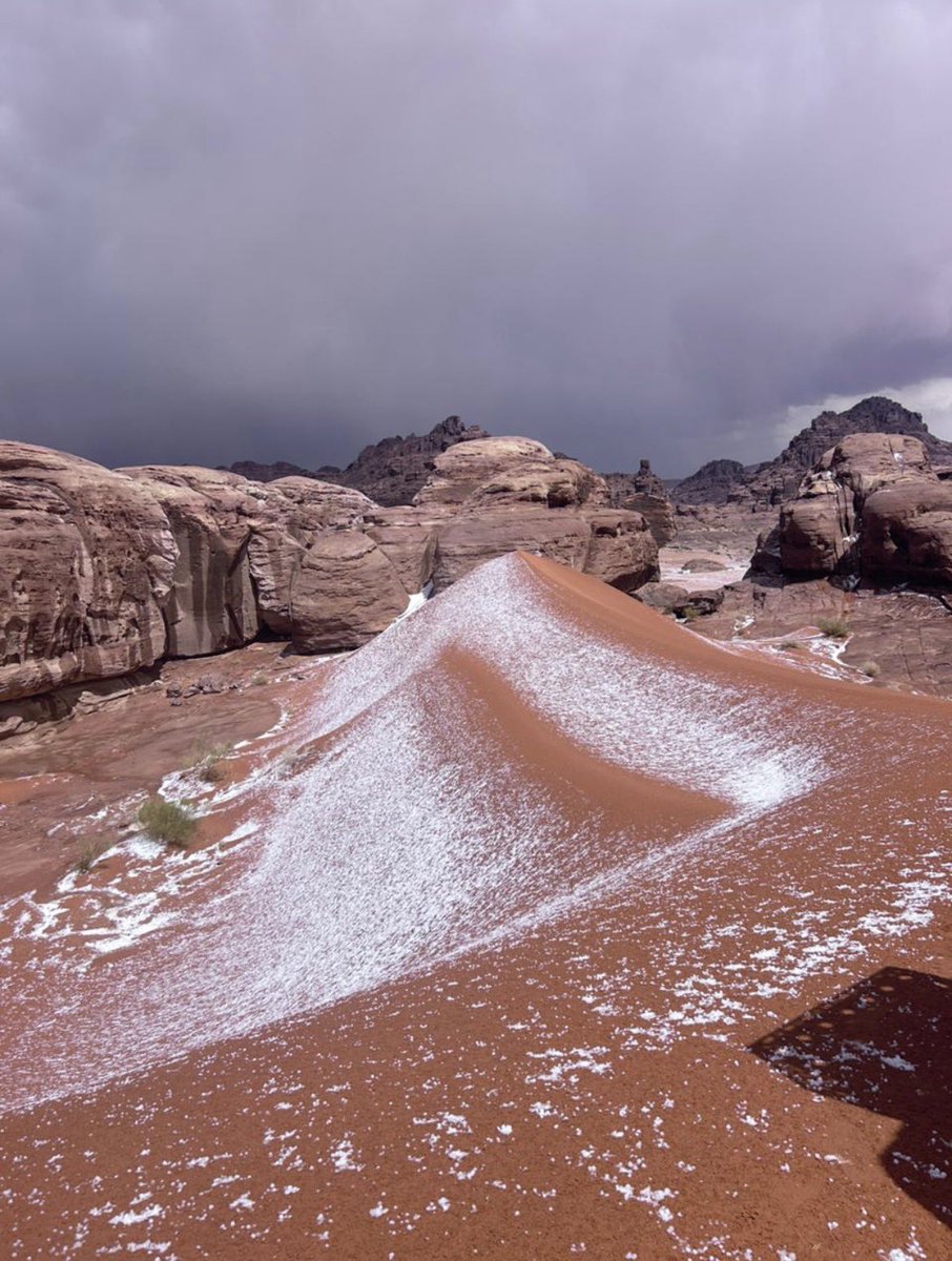 𝓑𝓪𝓭𝓻 tweet media