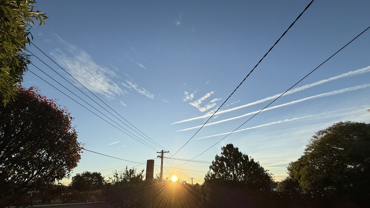 wapple15's tweet image. Good night from #Canberra 😴