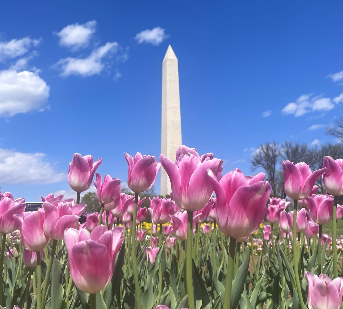 National Mall NPS tweet media