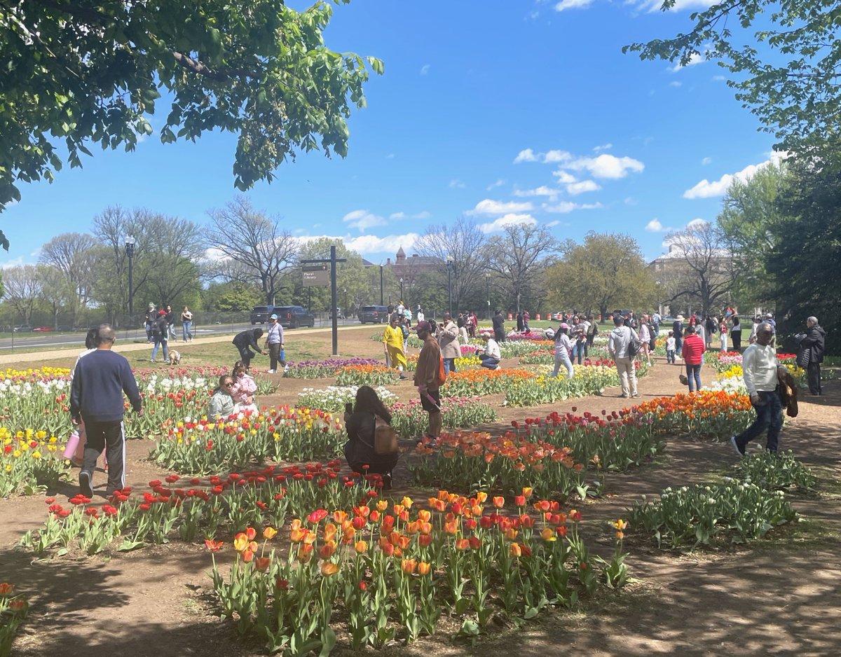 National Mall NPS tweet media