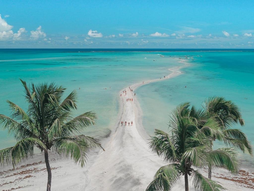 El Agente de Viajes tweet media