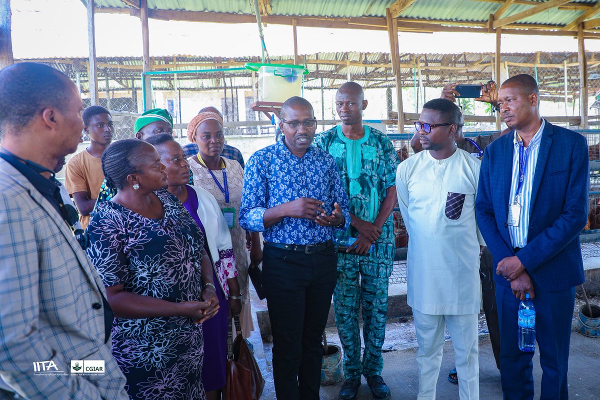 IITA Youth Agrip tweet media