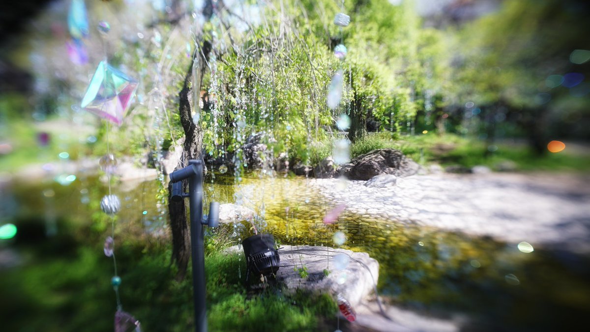 morilini's tweet photo. 興臨院
平野神社
北野天満宮
源光庵（血天井）
今日から１カ月くらい京都人
#春のいつものやつ https://t.co/oAj3RxvknA