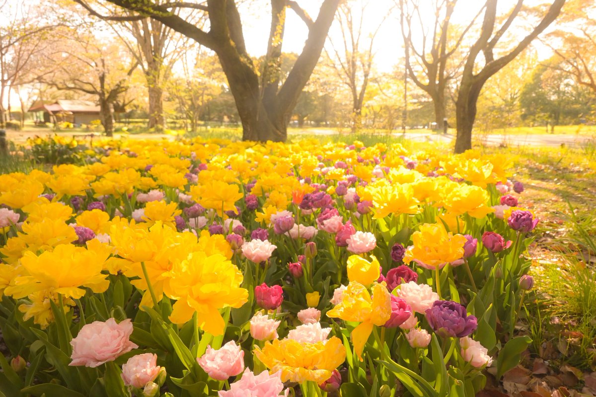 NANA@垢凍●しました tweet media