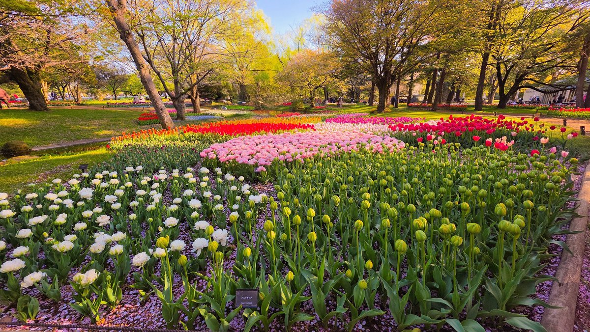 NANA@垢凍●しました tweet media