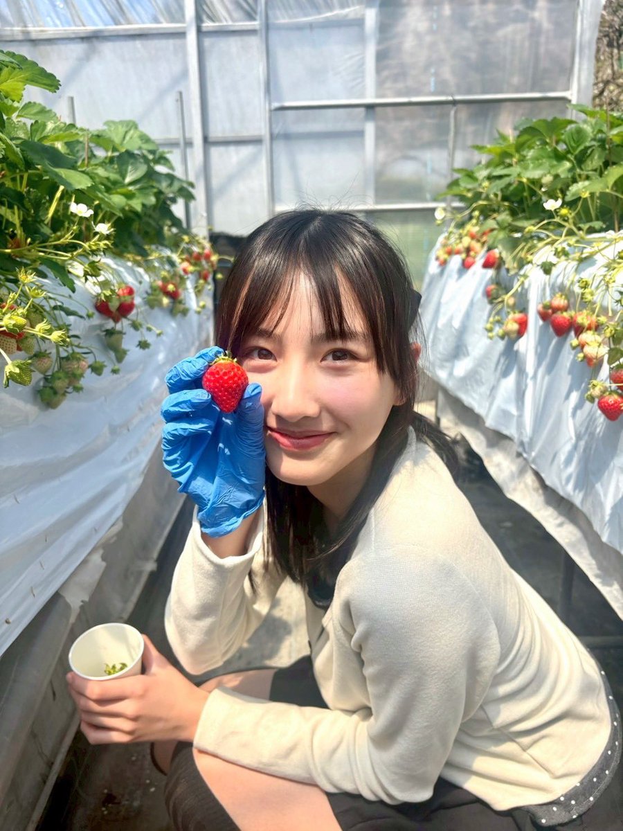 スターダスト福岡【公式】 tweet media