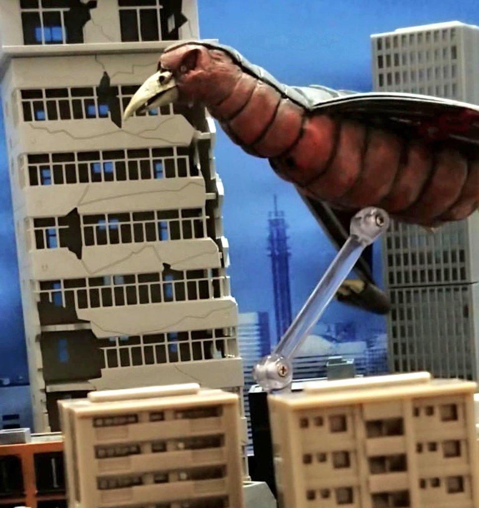 白狼(ハクロウ) tweet media