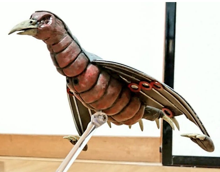 白狼(ハクロウ) tweet media