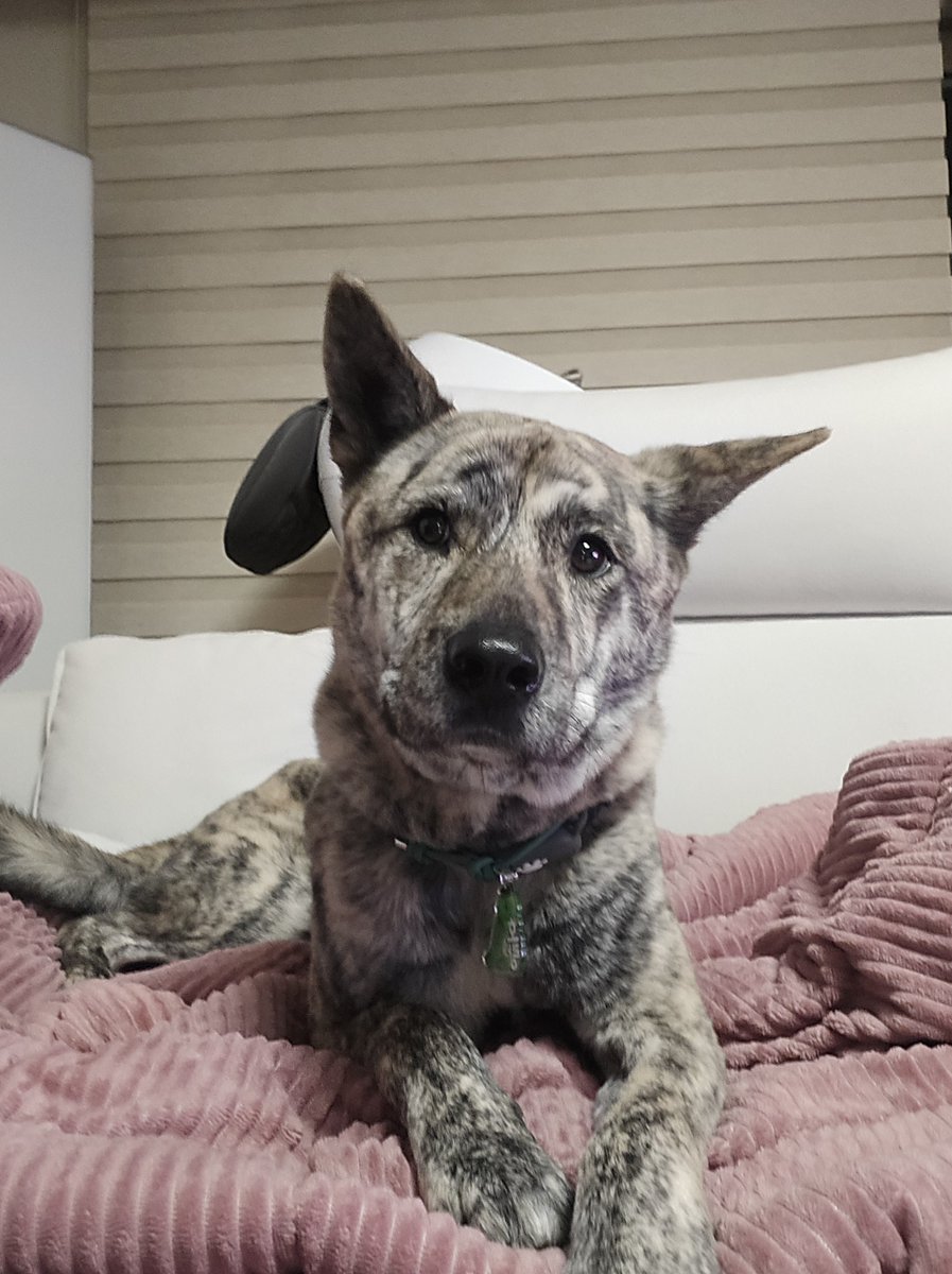 ์คํธ๋ ๋ ์์ผ๋๋ฐ๋ ์ด์ฝ๋ง๋ธ๋ง์ผ์ดํฌ๐ฏ tweet media