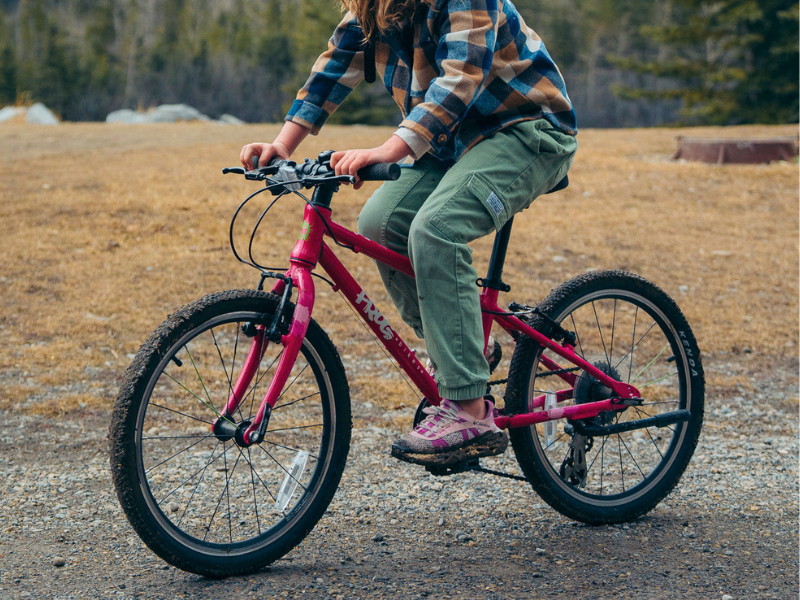 Frog Bikes tweet media