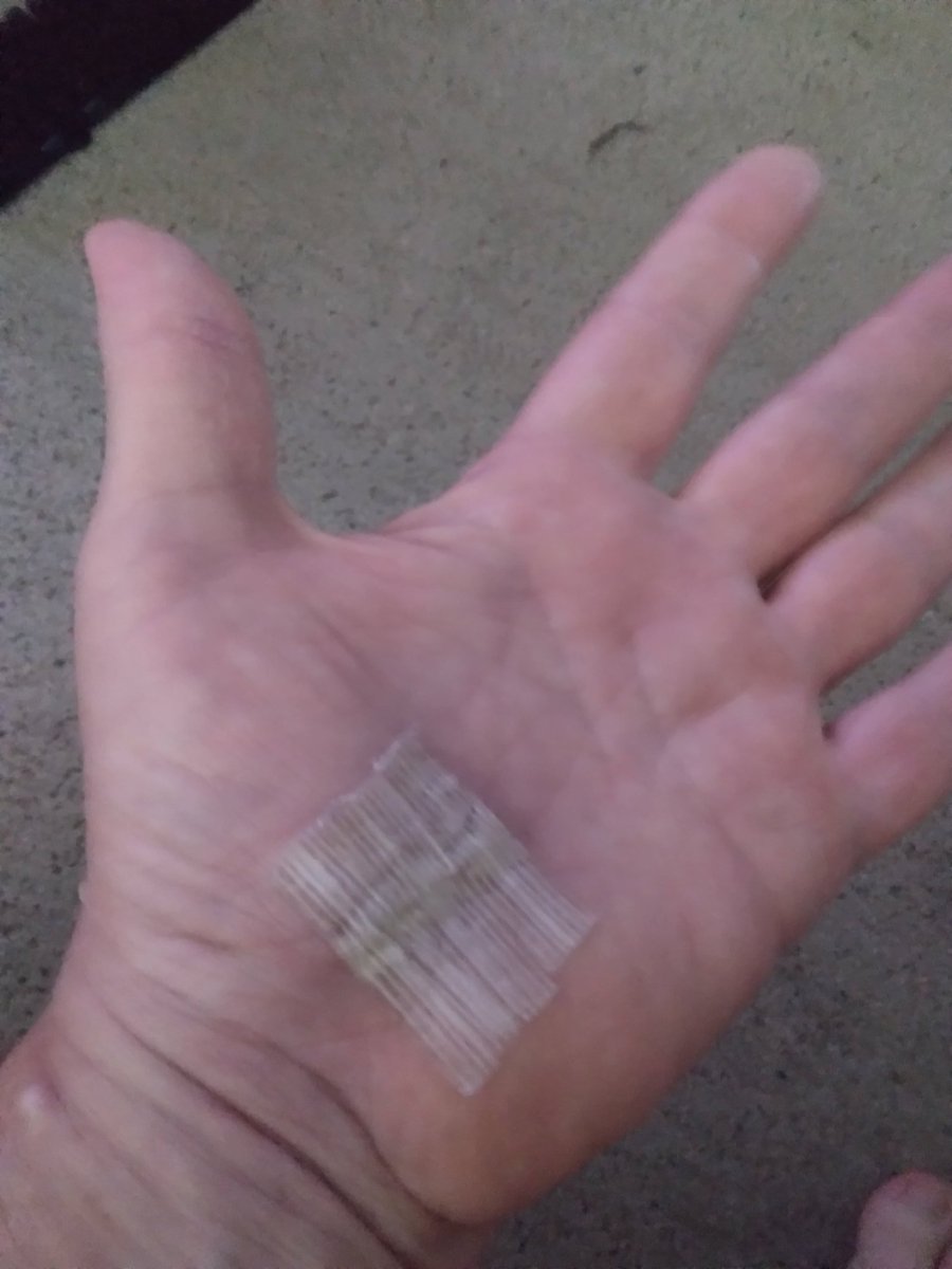 William sullivan tweet media