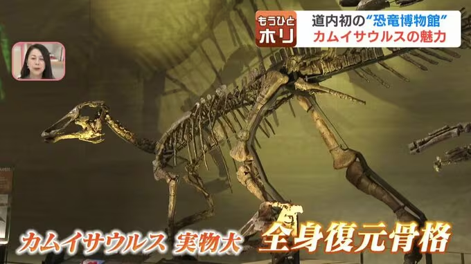 札幌暮らし（北海道グルメと札幌イベント）❄ tweet media