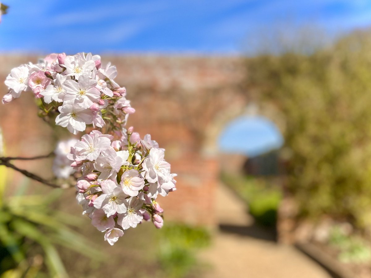 WalkingTractor tweet media