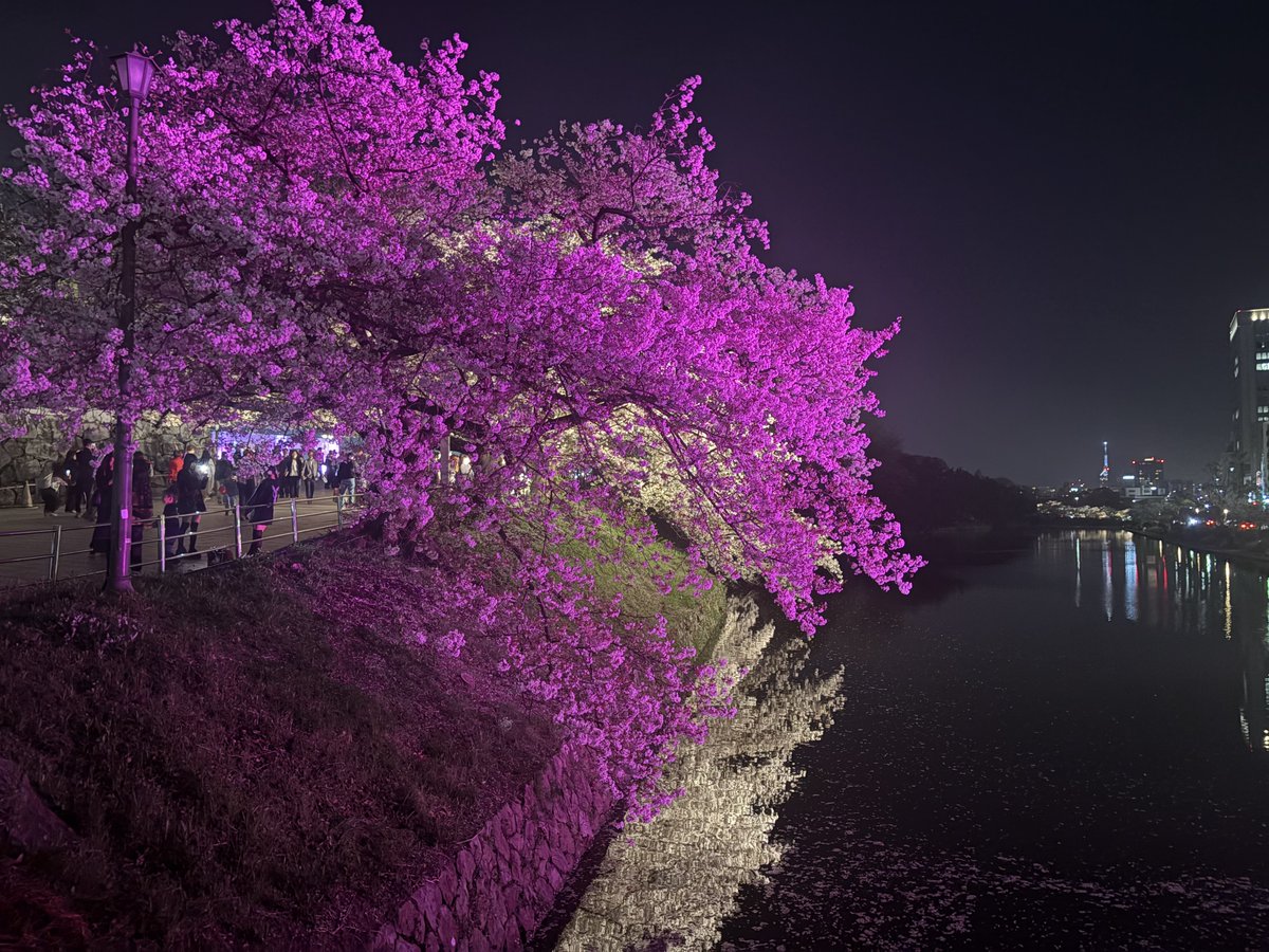 つくね tweet media