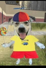 elly ⋆˚࿔ tweet media