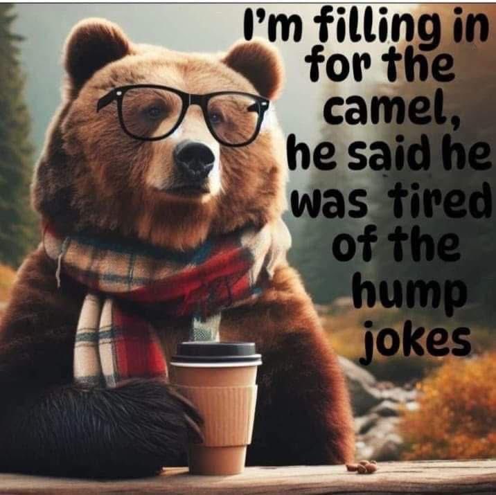 Uncle Snake 🐍 tweet media