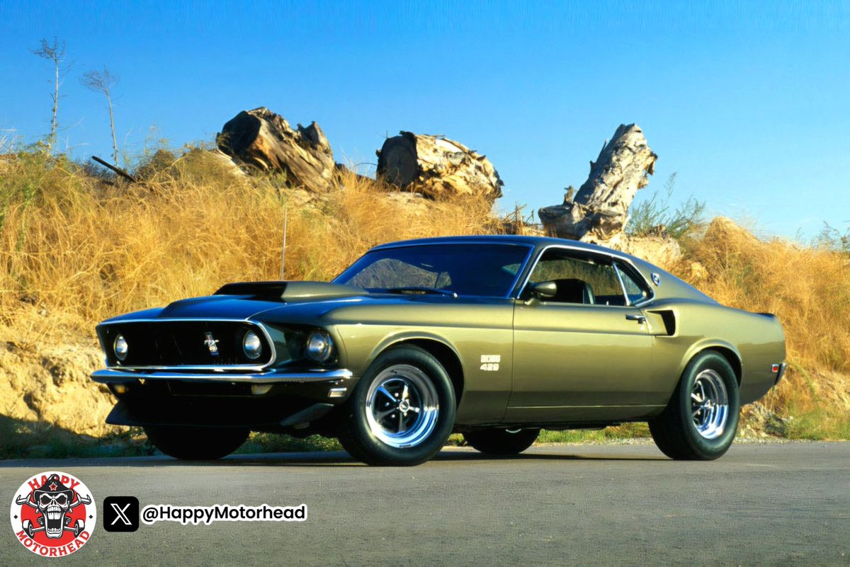 HappyMotorhead's tweet photo. Like ❤️ - Love 🔥 - Leave 💨 ?
This ’69 Boss 429 just showed up... what’s the verdict?
#Mustang #Boss429 #MuscleCar https://t.co/xrC8x9y6jh