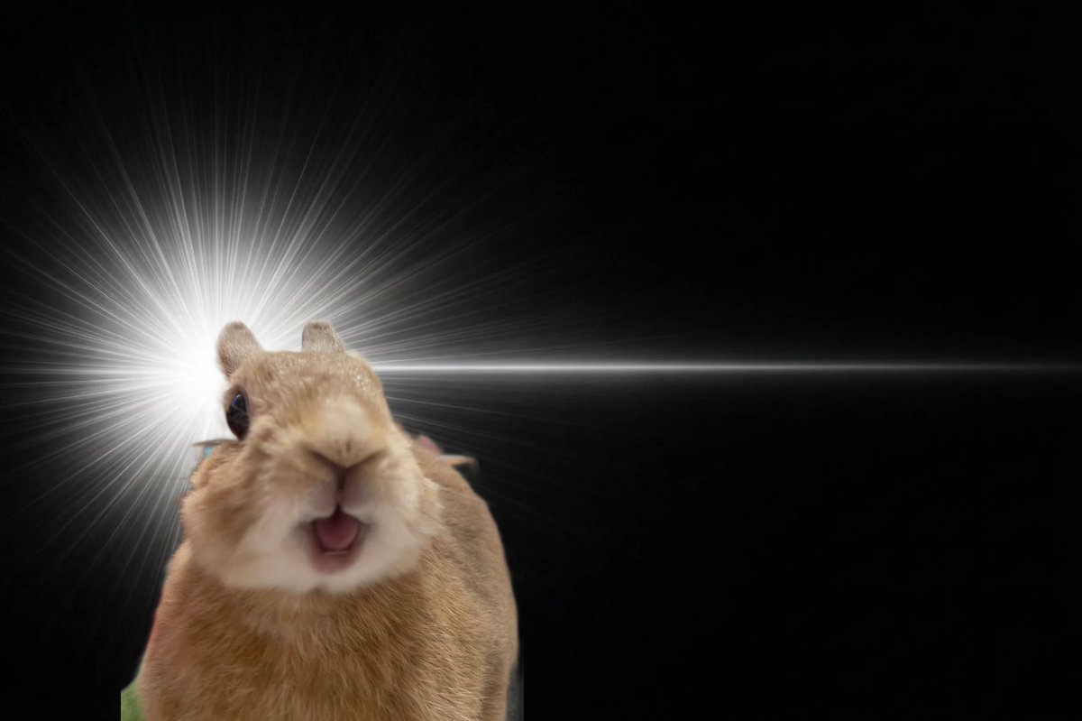 とんかつ tweet media