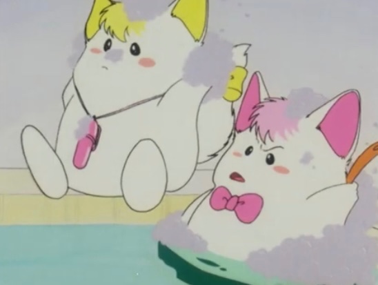 ぷるるん☆ tweet media