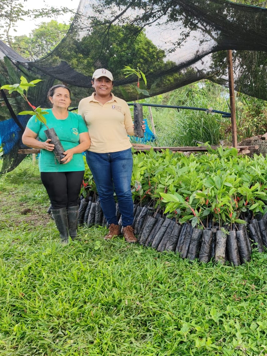 fedecacao's tweet photo. Seguimos fortaleciendo la cacaocultura en el Huila 🌱🤝 Entregamos árboles de cacao a productores vinculados al Programa de Nuevas Siembras 🌳, impulsando la productividad 📈 y el desarrollo sostenible de la región 🌎. Porque en Fedecacao, el cacaocultor es lo primero 🇨🇴✨ https://t.co/lBdSym8cPB