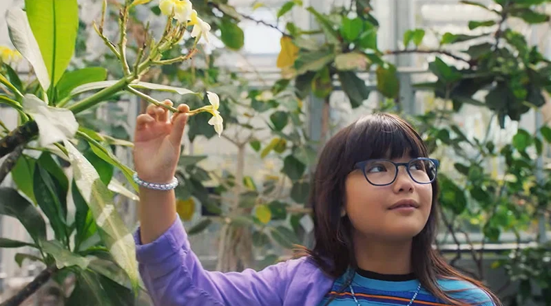 Alliance of Women Film Journalists tweet media