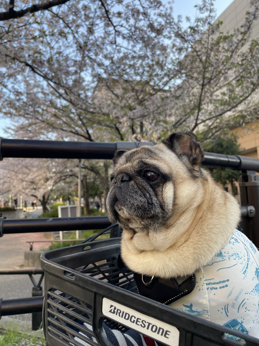 KEN☆○★ tweet media