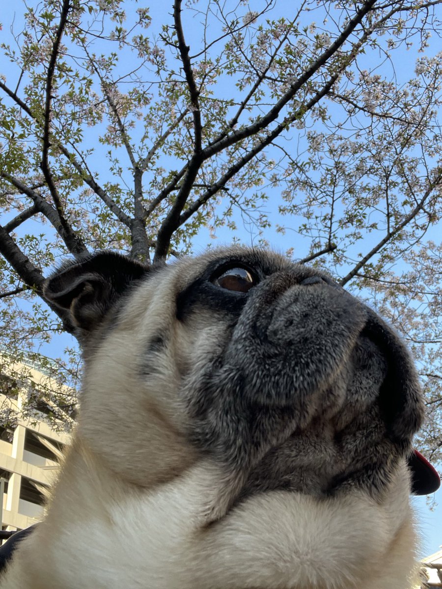 KEN☆○★ tweet media