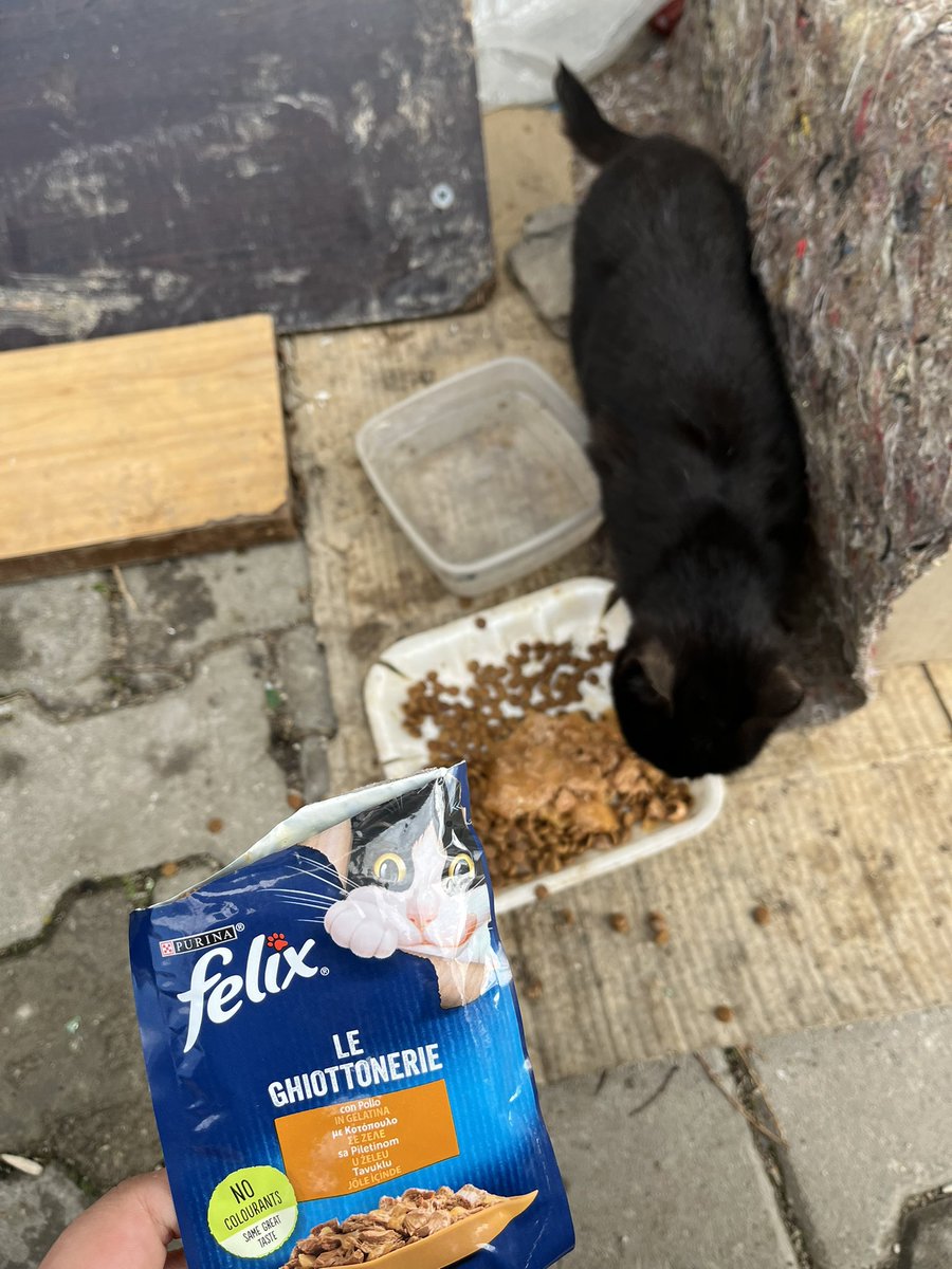 Esra Şahbaz tweet media