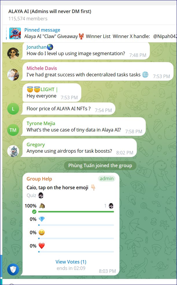 Trần Thị Mỹ Linh🌲🌲🌲 tweet media