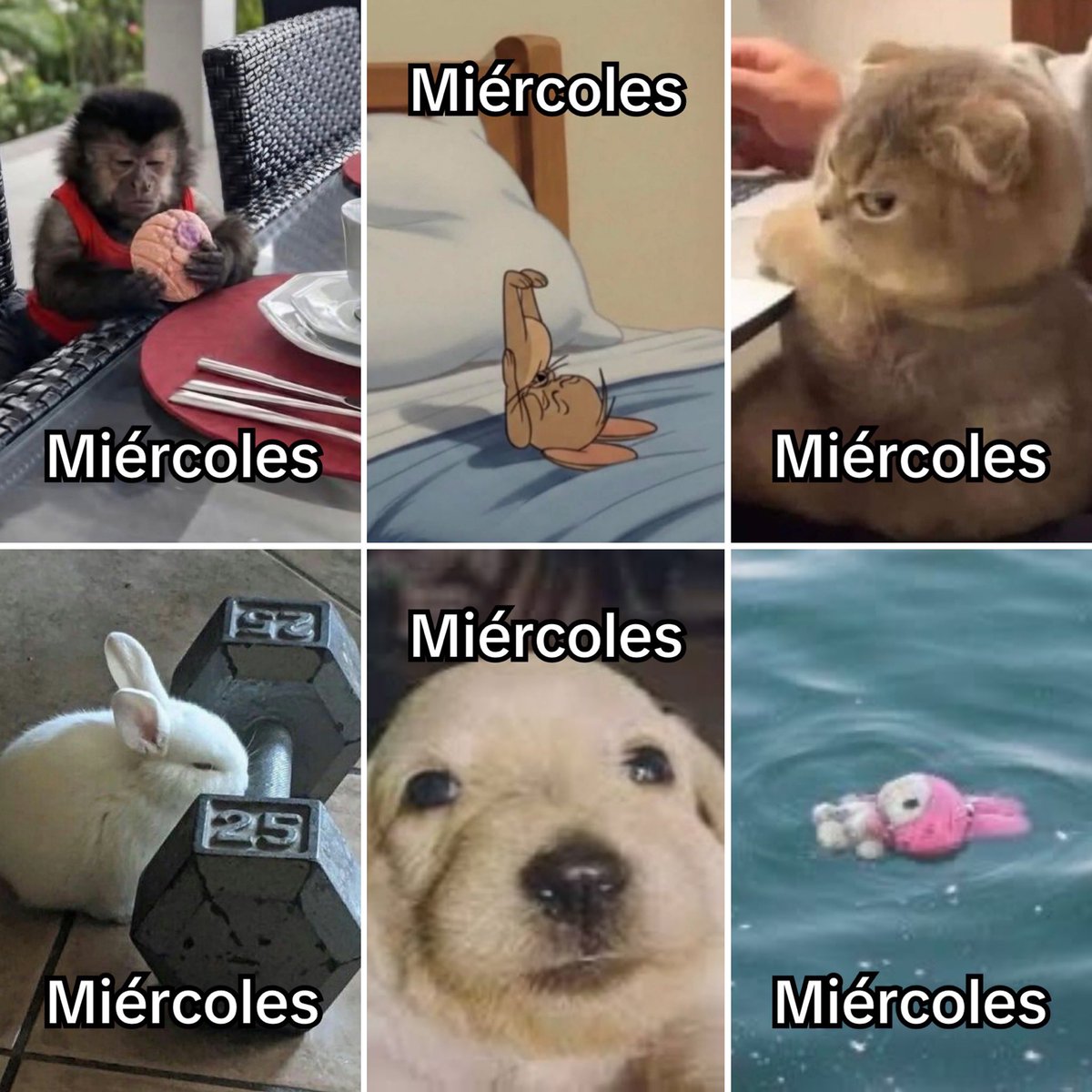 Guarromantico_'s tweet photo. Miércoles. https://t.co/05zcZj0L86