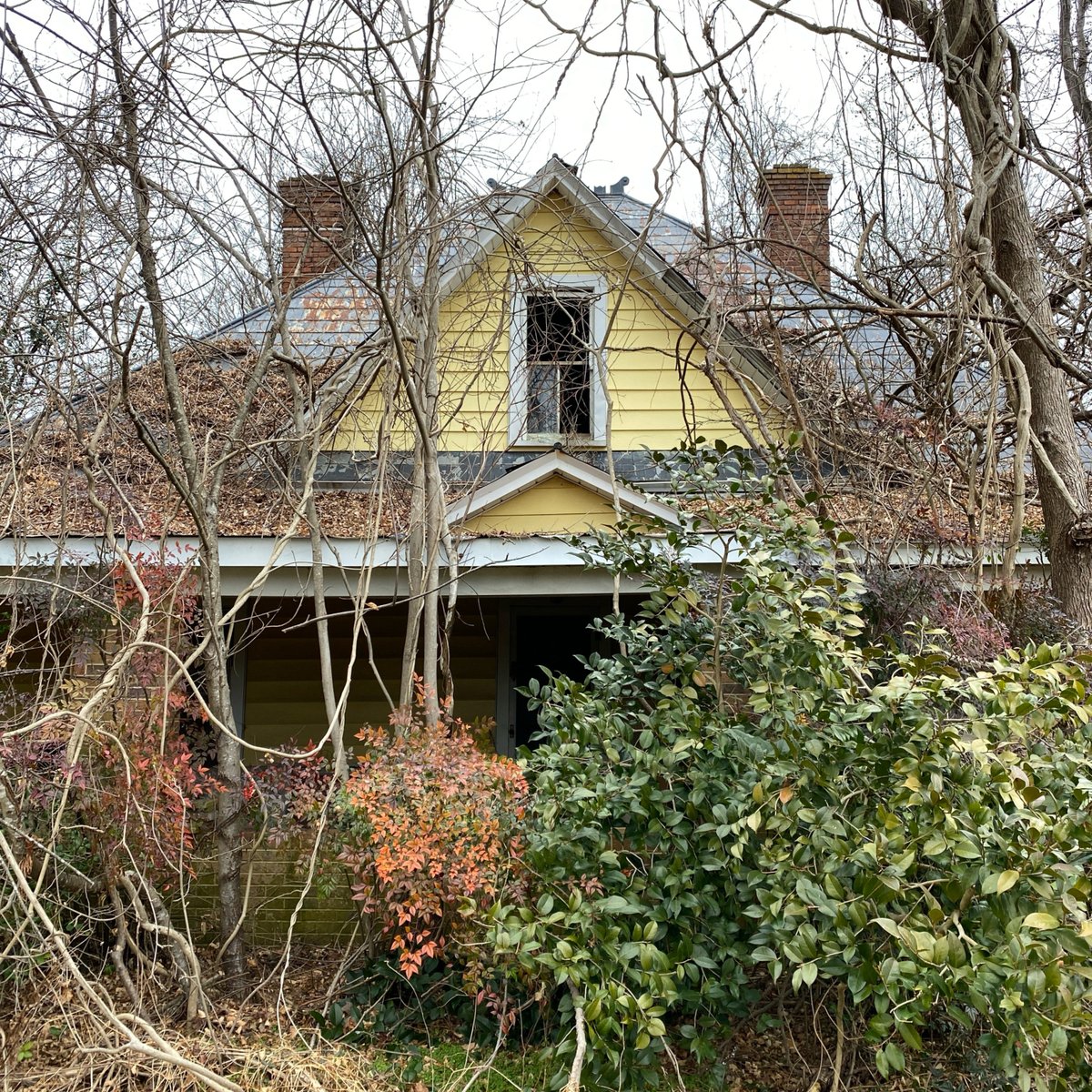 Diary of Abandonment tweet media