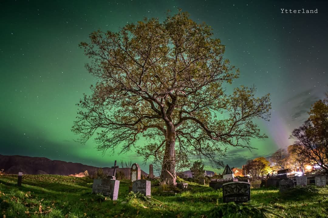 elusive_moose's tweet image. From Herøy Gård 💚 Photo Kristoffer Nærø Ytterland #Norway #aurora