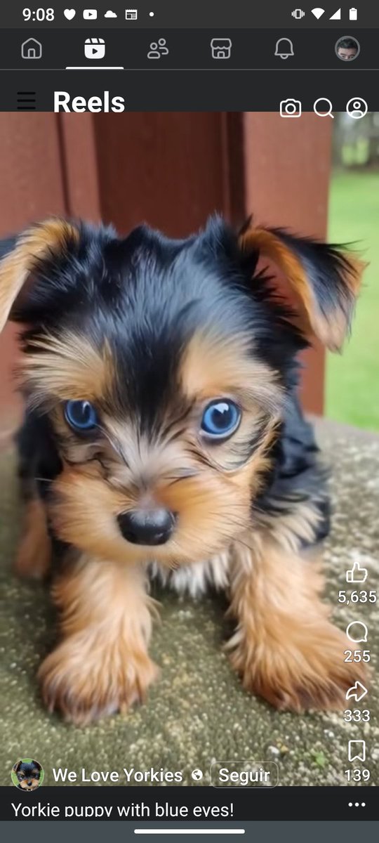 Luis granate tweet media