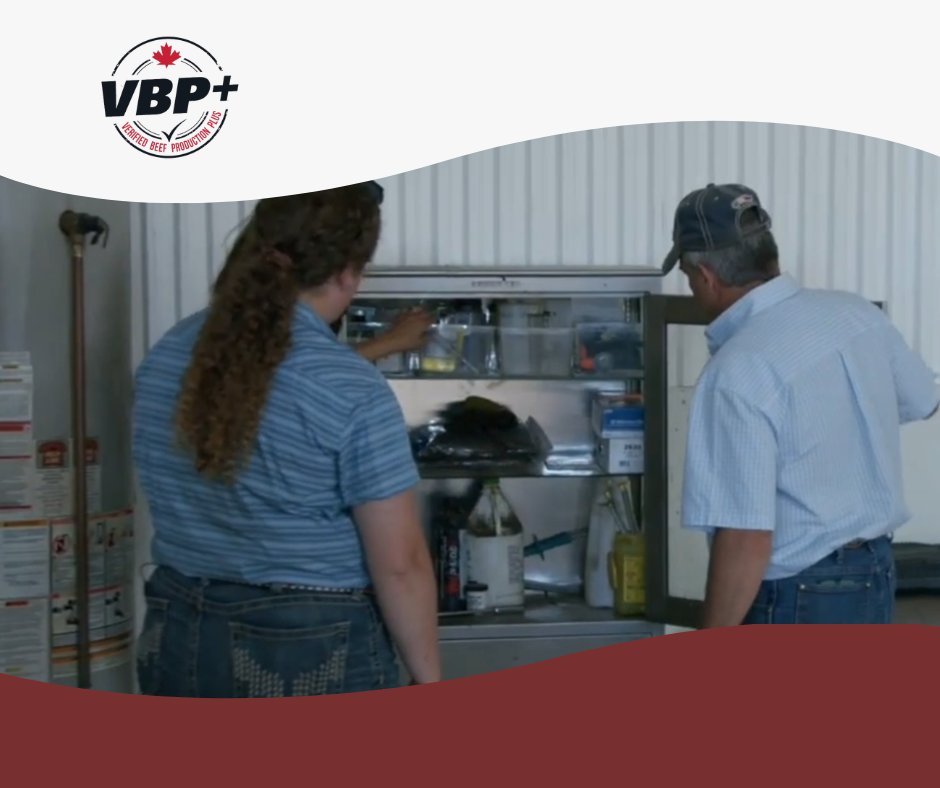 VBP+ Canada tweet media