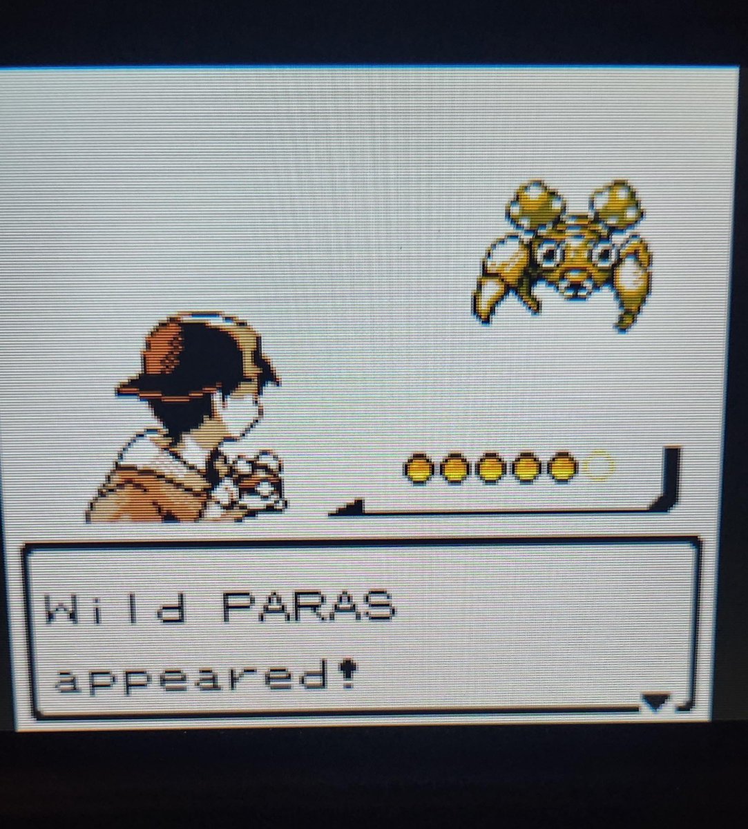 Marsl 🚨 tweet media