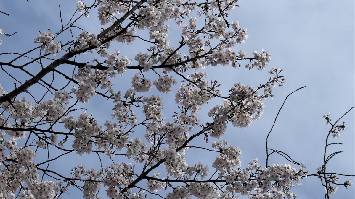 ⟆h¡ꀘ@ tweet media