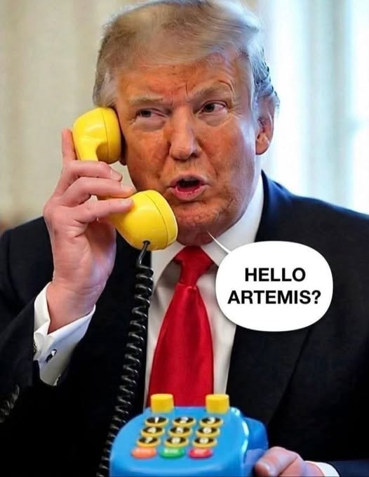 pascal pecoraro tweet media