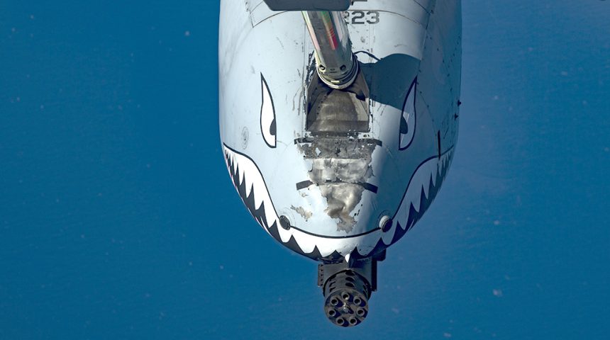 蛇乃目伍長 tweet media