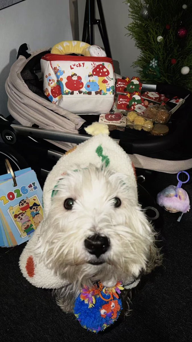 Cream ྀི tweet media