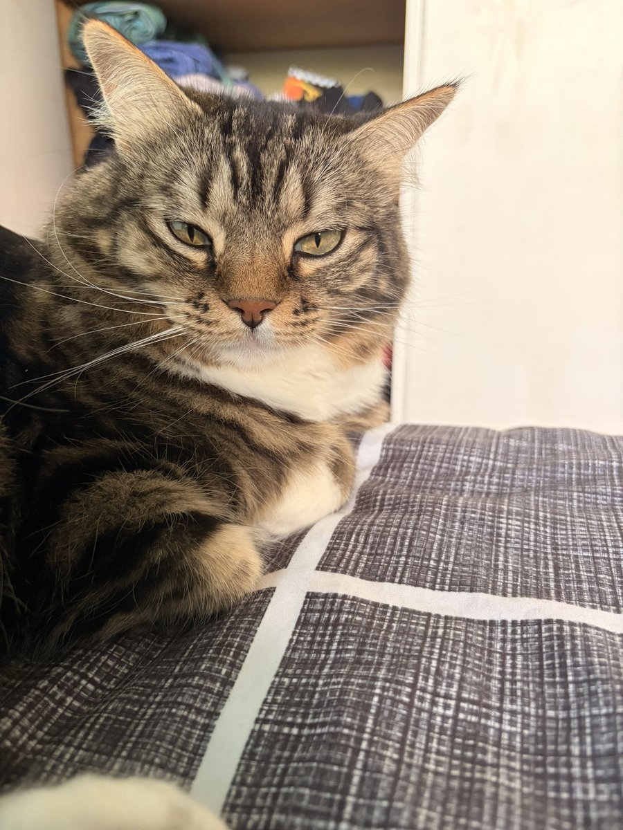 Sarah ✨ tweet media