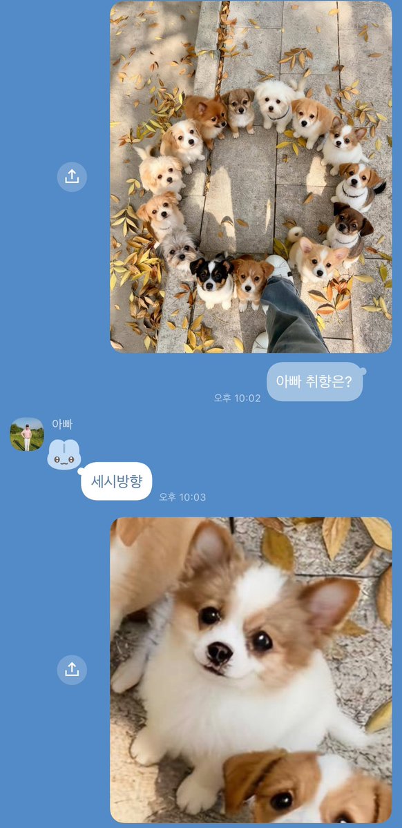 아빠와 다정이 tweet media