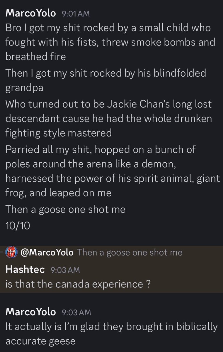 Marco Yolo tweet media