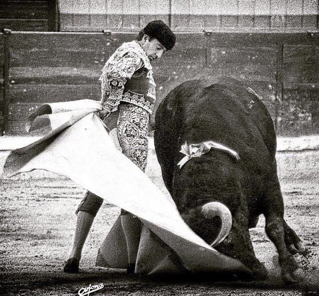 ginesmarinm's tweet photo. El Premio Nacional de Tauromaquia concedido al maestro Curro Vázquez no puede ser más merecido. 

Su pasión por el toreo se contagia, y su manera de entenderlo supone un auténtico oasis en estos tiempos. https://t.co/B9eykkCXsG