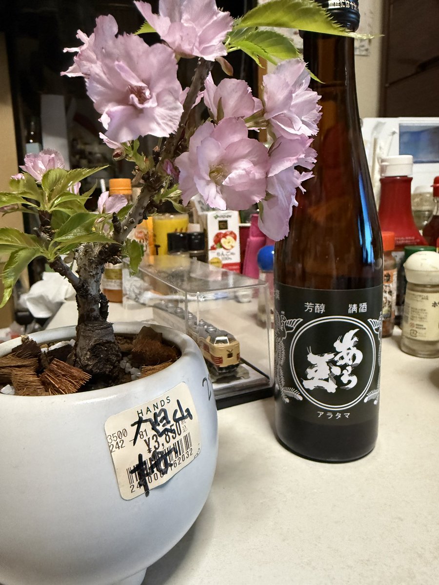 神代圭（黒） tweet media